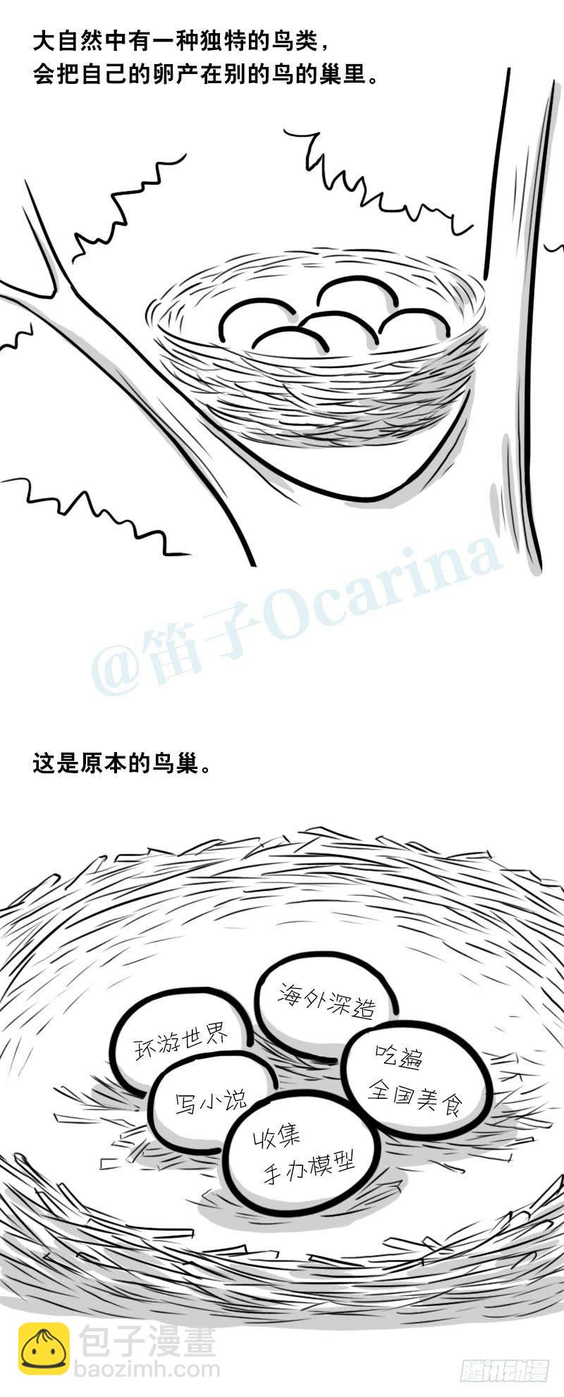 335 杜鹃-第335话