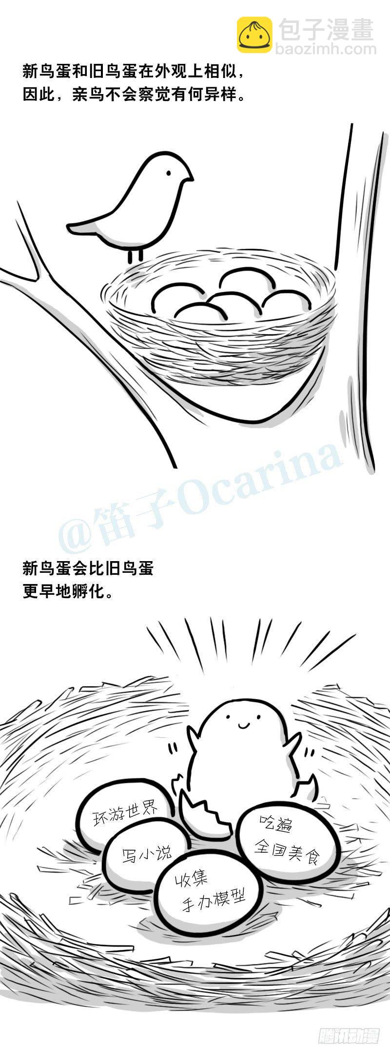 335 杜鹃-第335话