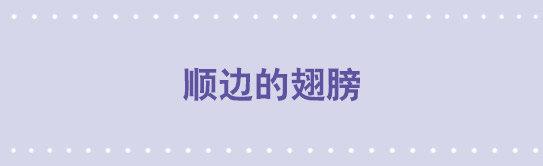 89 顺边的翅膀-第89话