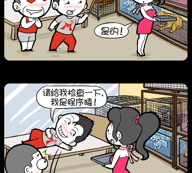 第1041话 给动物看病-第1021话