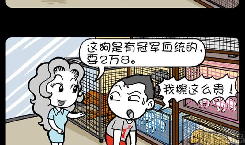 第21话 待价而沽-第21话