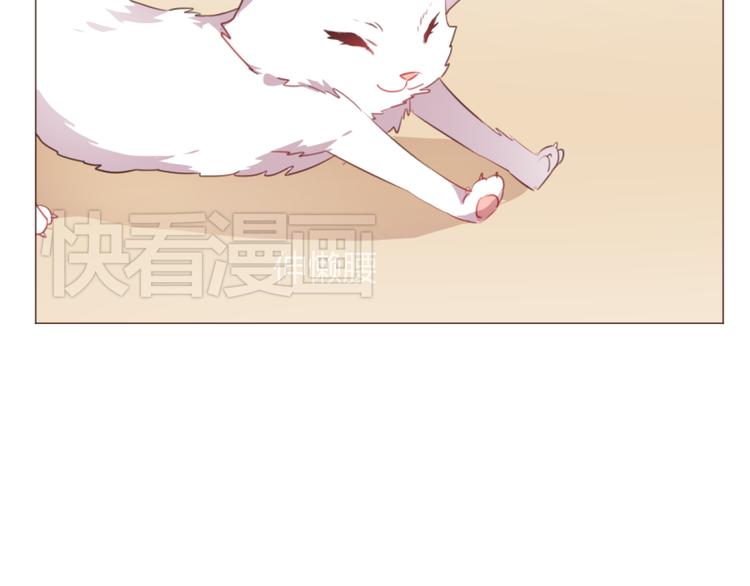 第51话 杜柯受伤(1/2)-第51话
