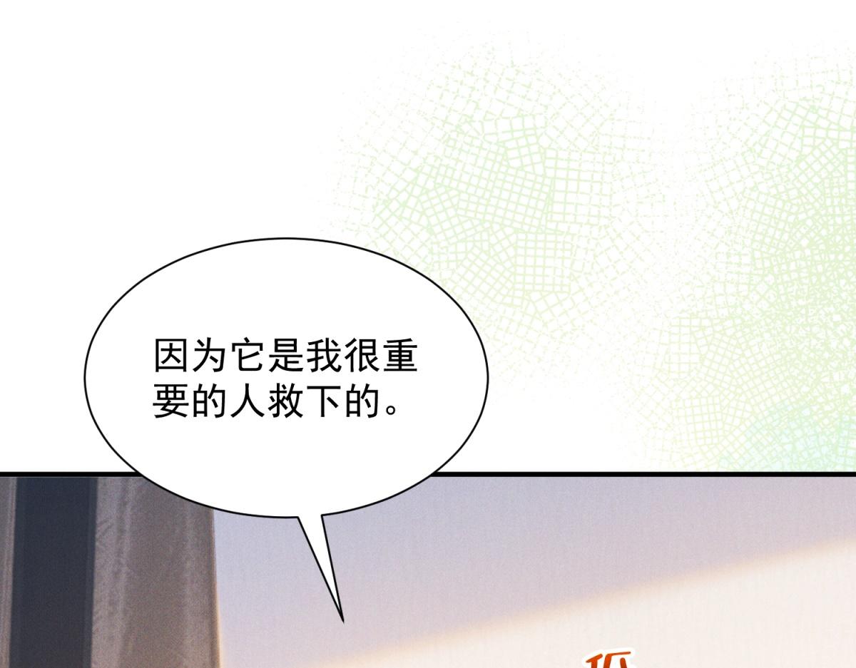 第36话 陆沉要消失了(1/4)-第37话