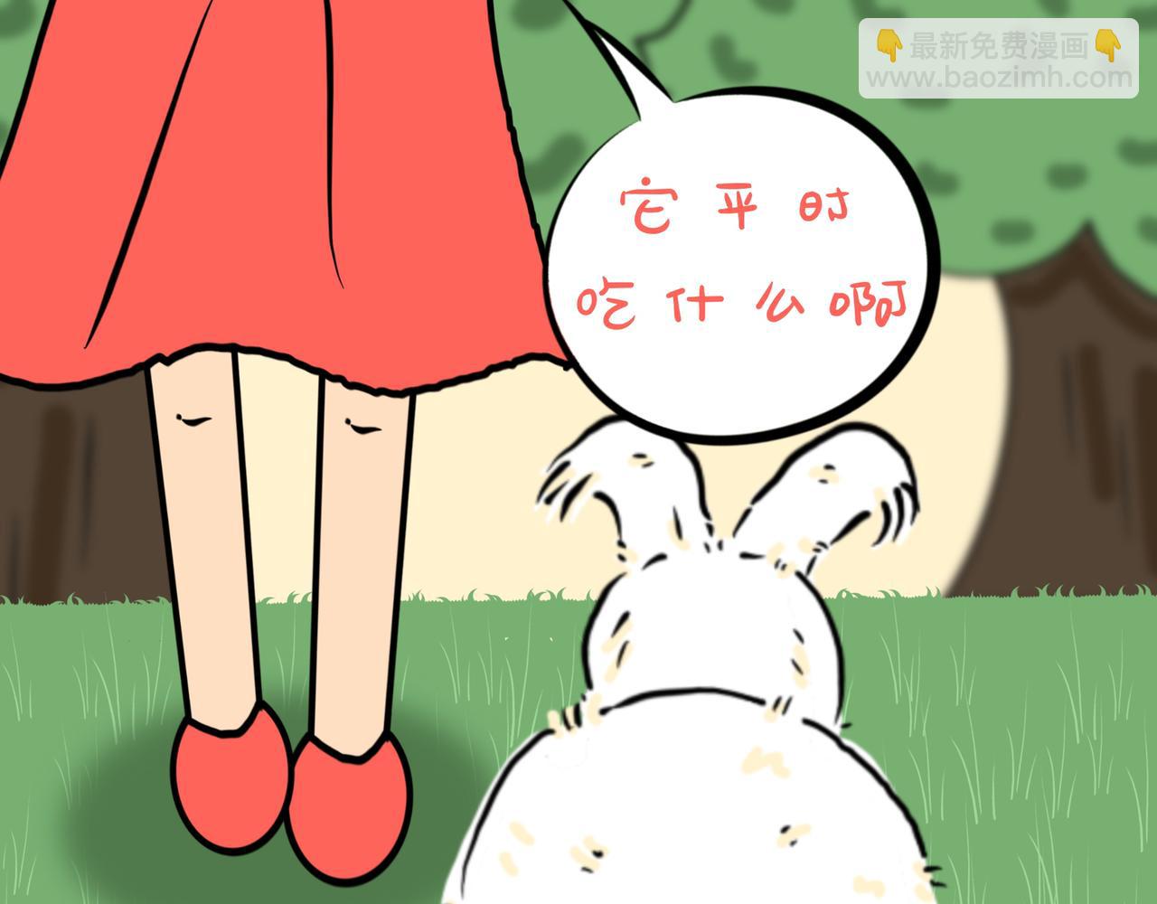 明星桃-第15话