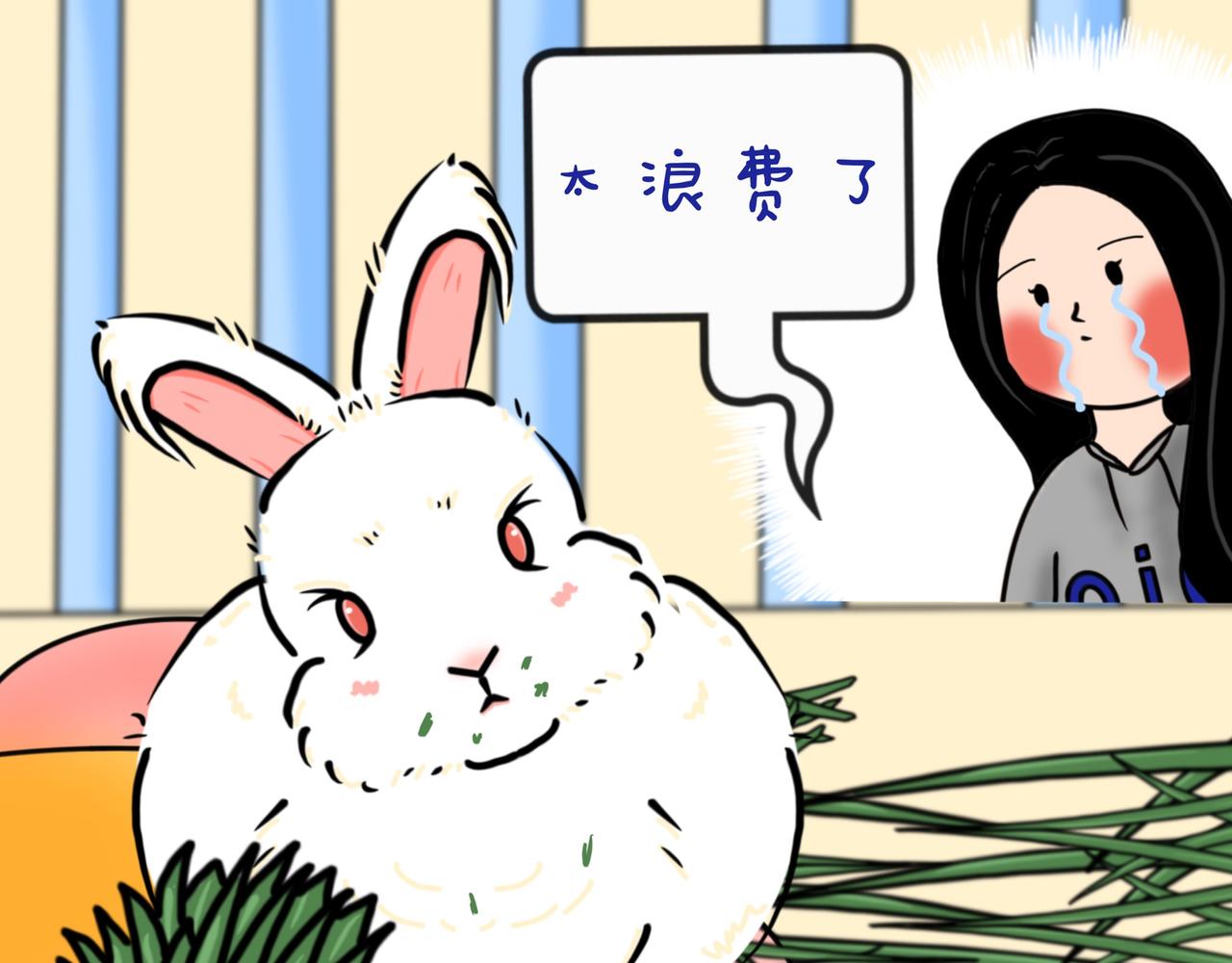 养兔碎碎念2-第23话