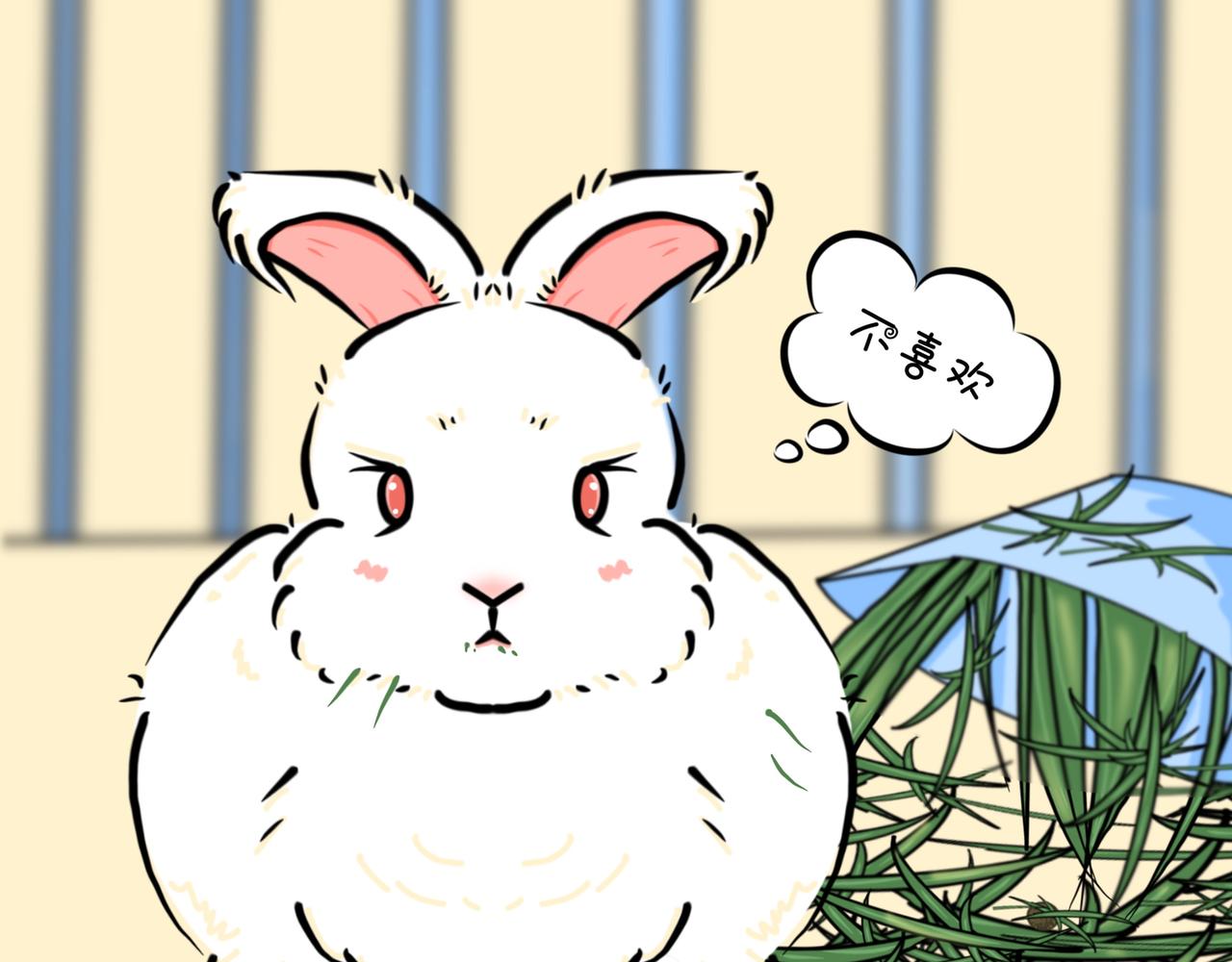 换草记-第3话