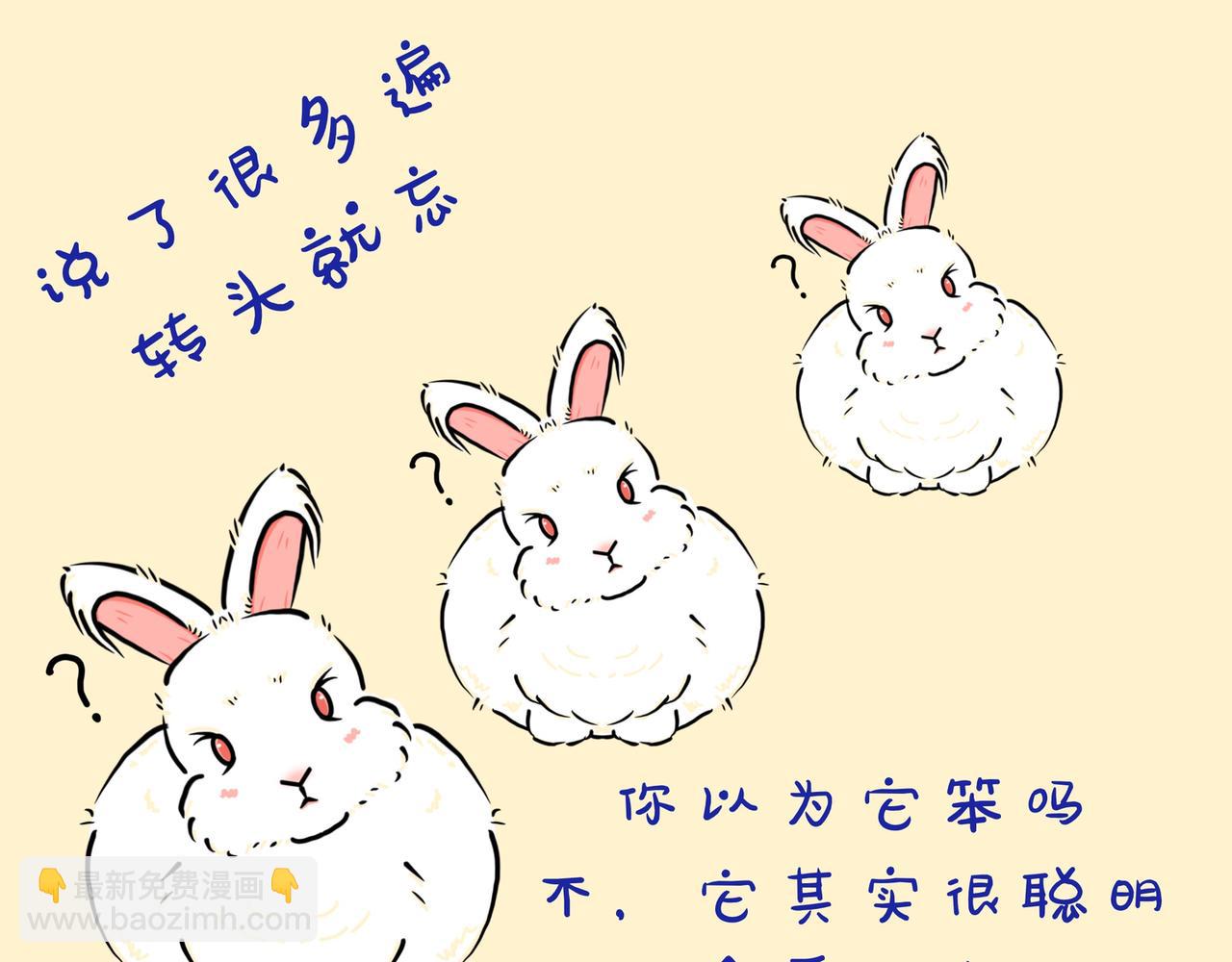 养兔碎碎念1-第9话