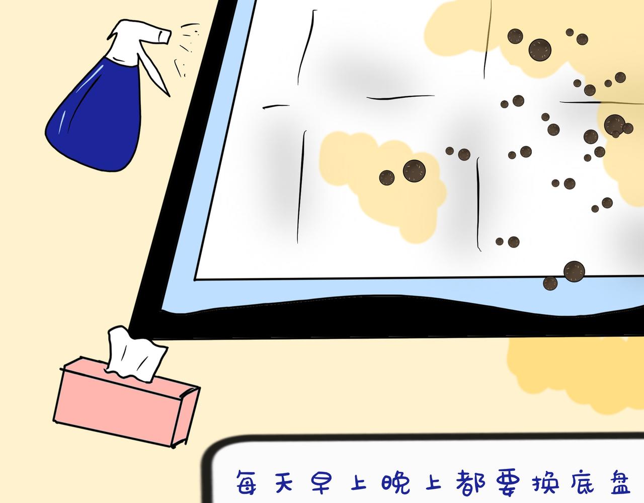 养兔碎碎念1-第9话