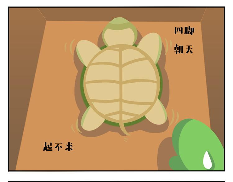 第31话 寻找小柴(1/2)-第31话