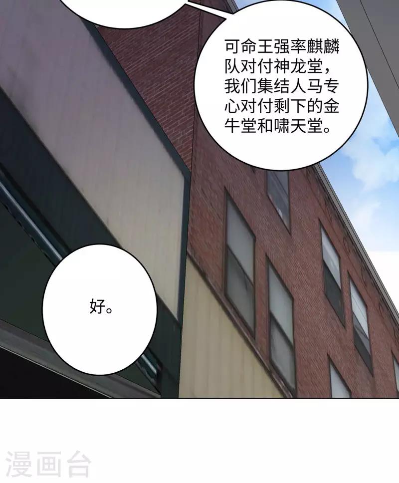 🍚校园高手 第267话 布局 第13页