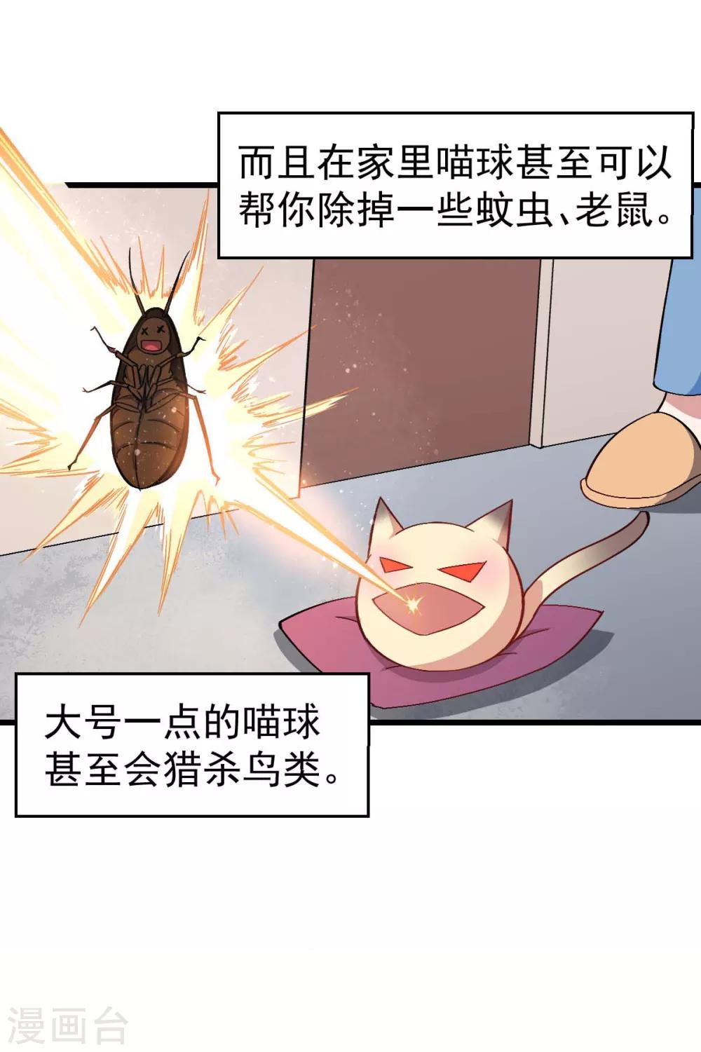 🍚校园狂师 第137话 喵球 第3页