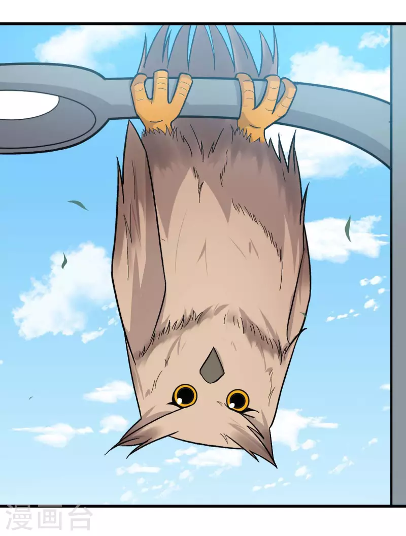 🍚校园狂师 第219话 猫头鹰不是猫系？ 第10页