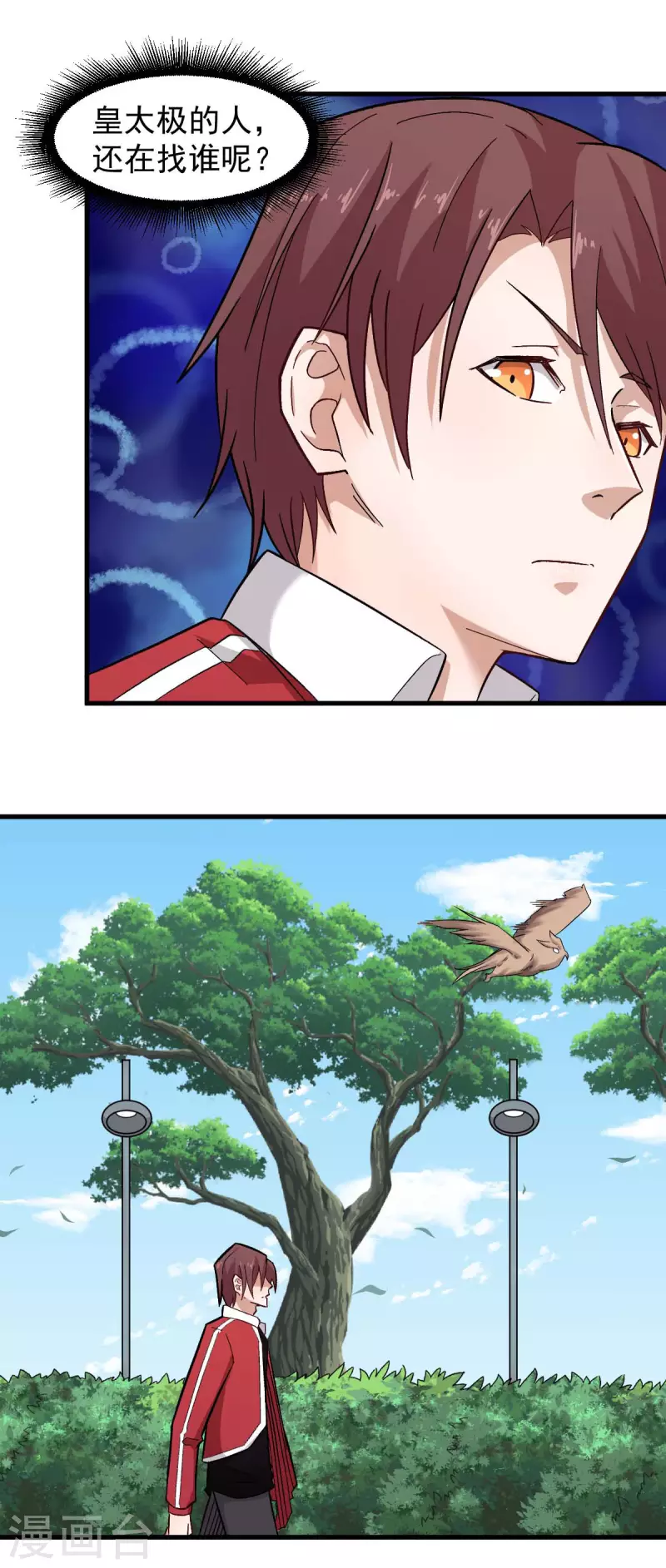 🍚校园狂师 第219话 猫头鹰不是猫系？ 第13页