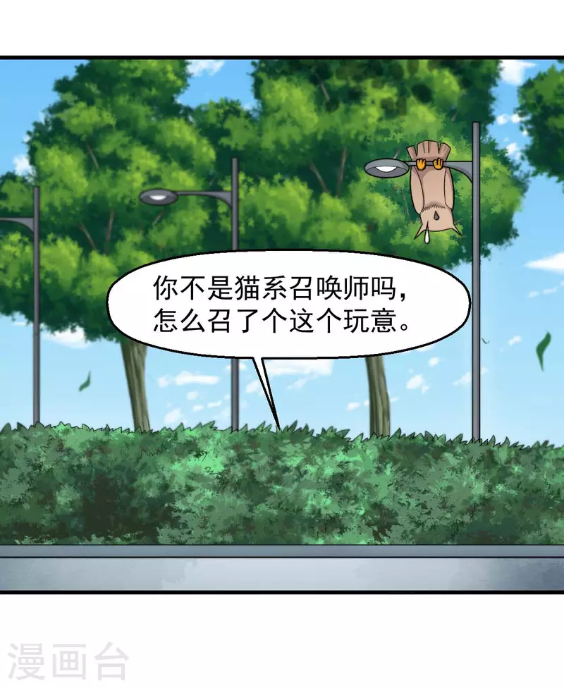 🍚校园狂师 第219话 猫头鹰不是猫系？ 第17页