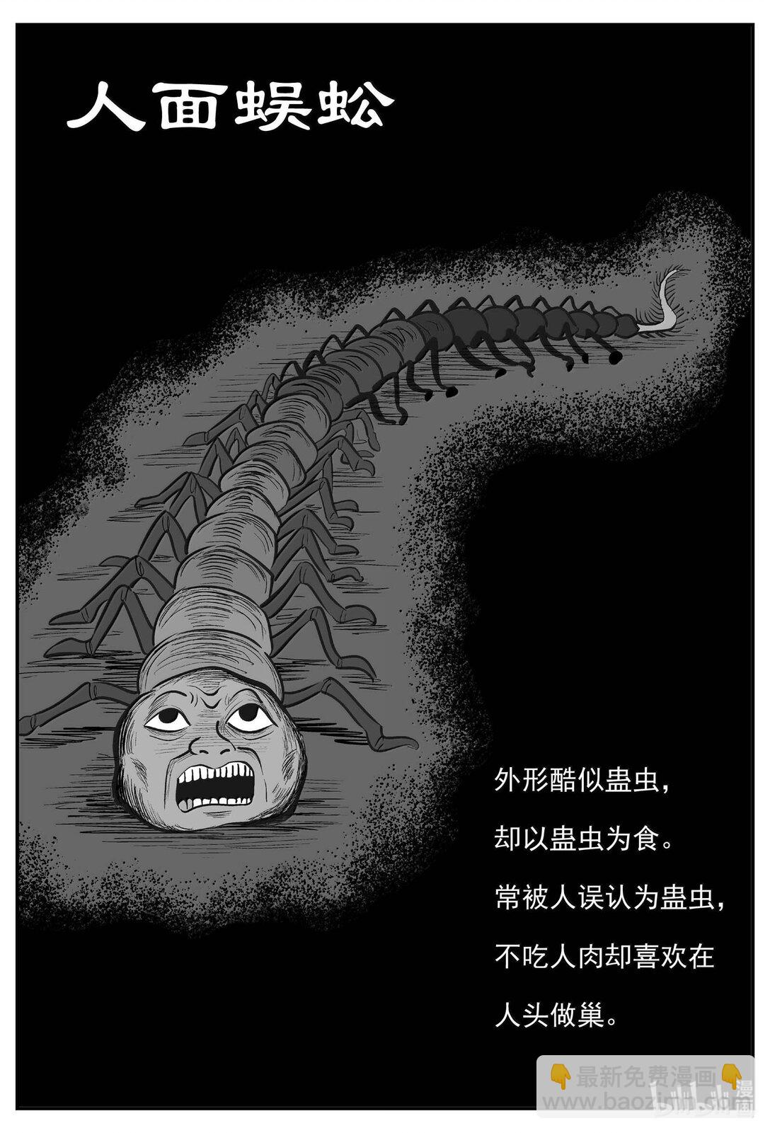1041 四人不回头-第1027话