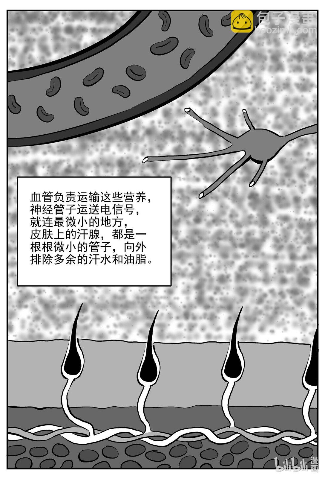 1047 一分钟怪异故事-第1033话