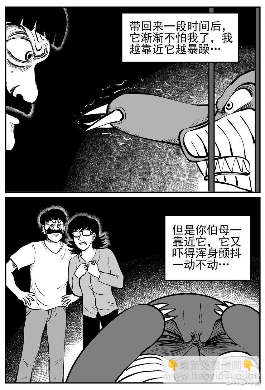 013-1 它3（5）-第13话