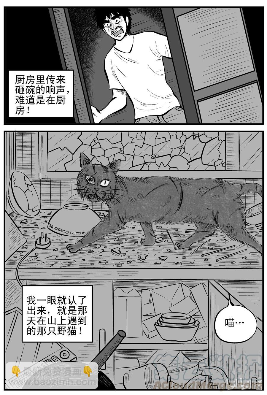 163 猫-第157话
