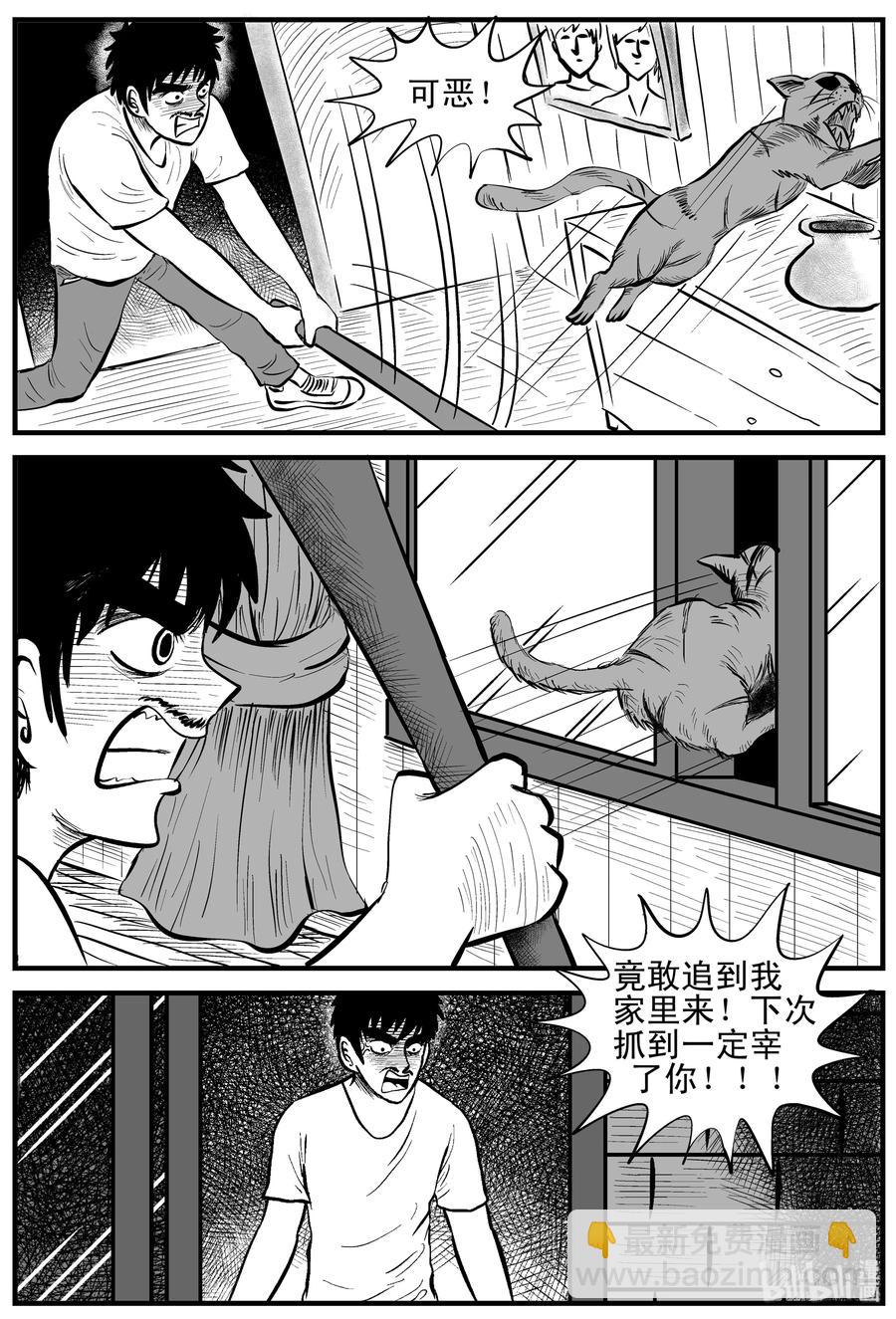 163 猫-第157话