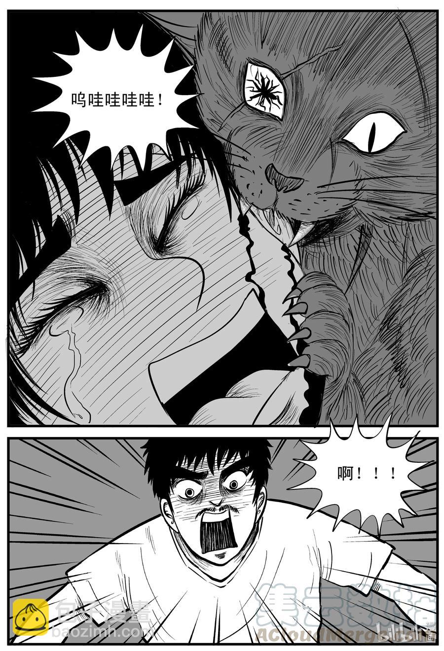 163 猫-第157话