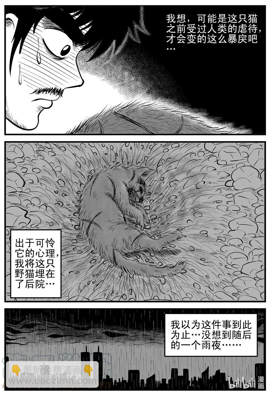 163 猫-第157话