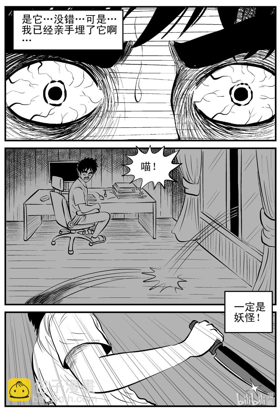 163 猫-第157话
