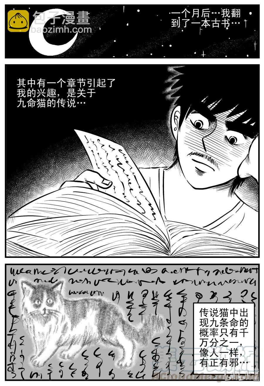 163 猫-第157话