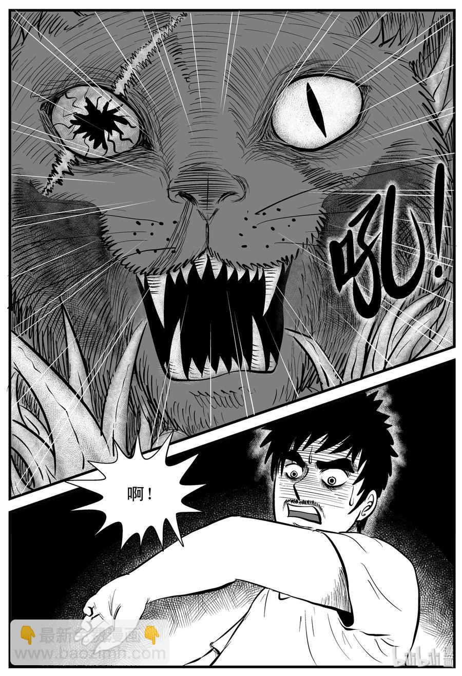 163 猫-第157话
