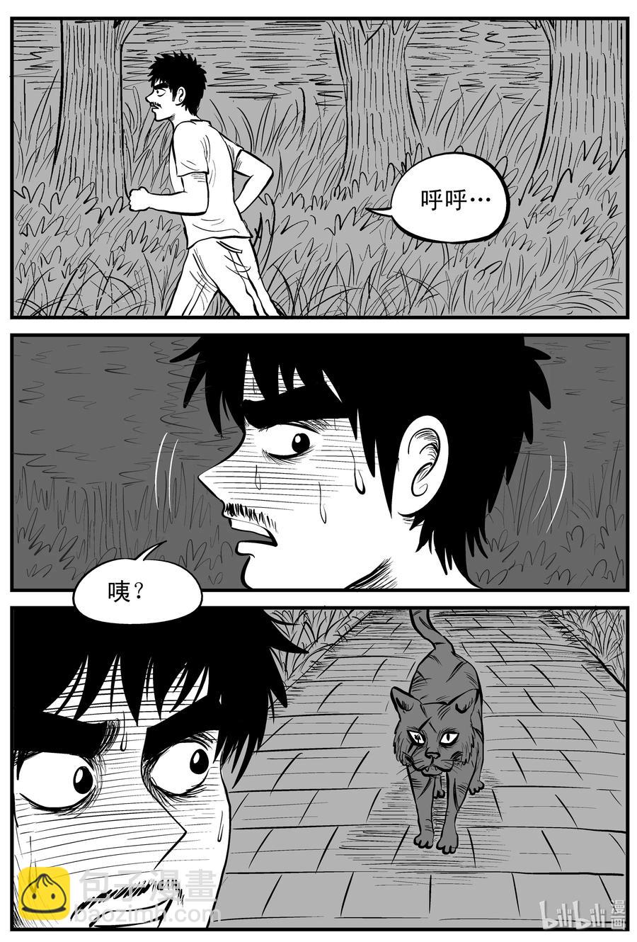 163 猫-第157话