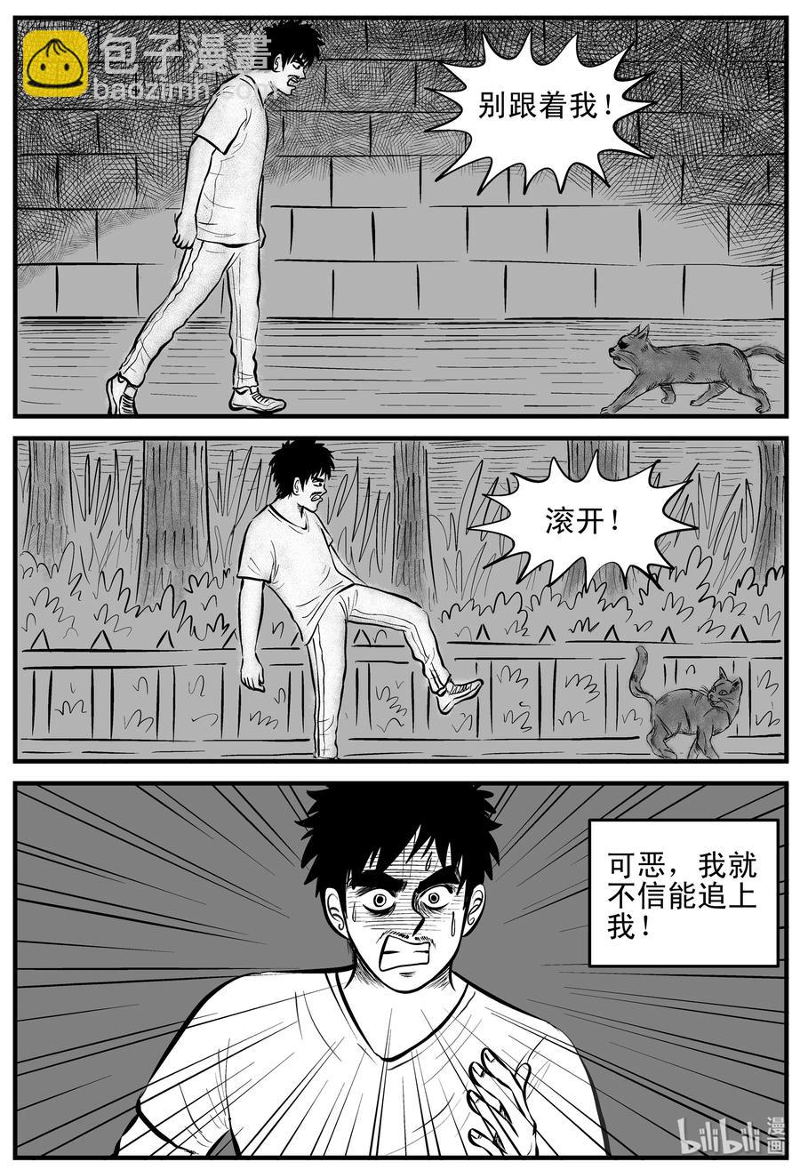 163 猫-第157话