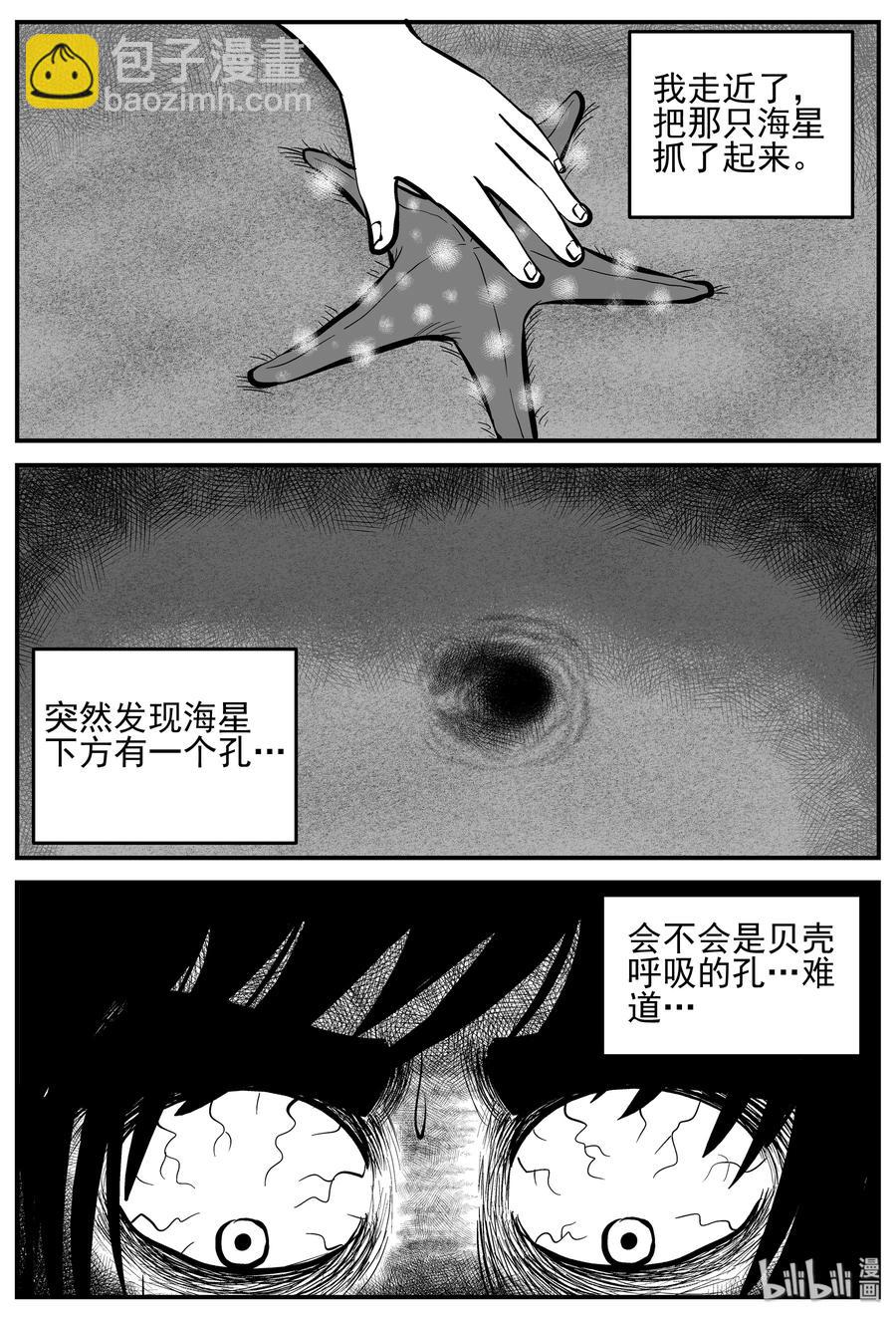 229 海螺湾奇谈（4）-第223话