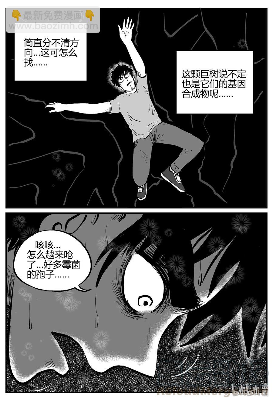 055 它5（12）-第49话