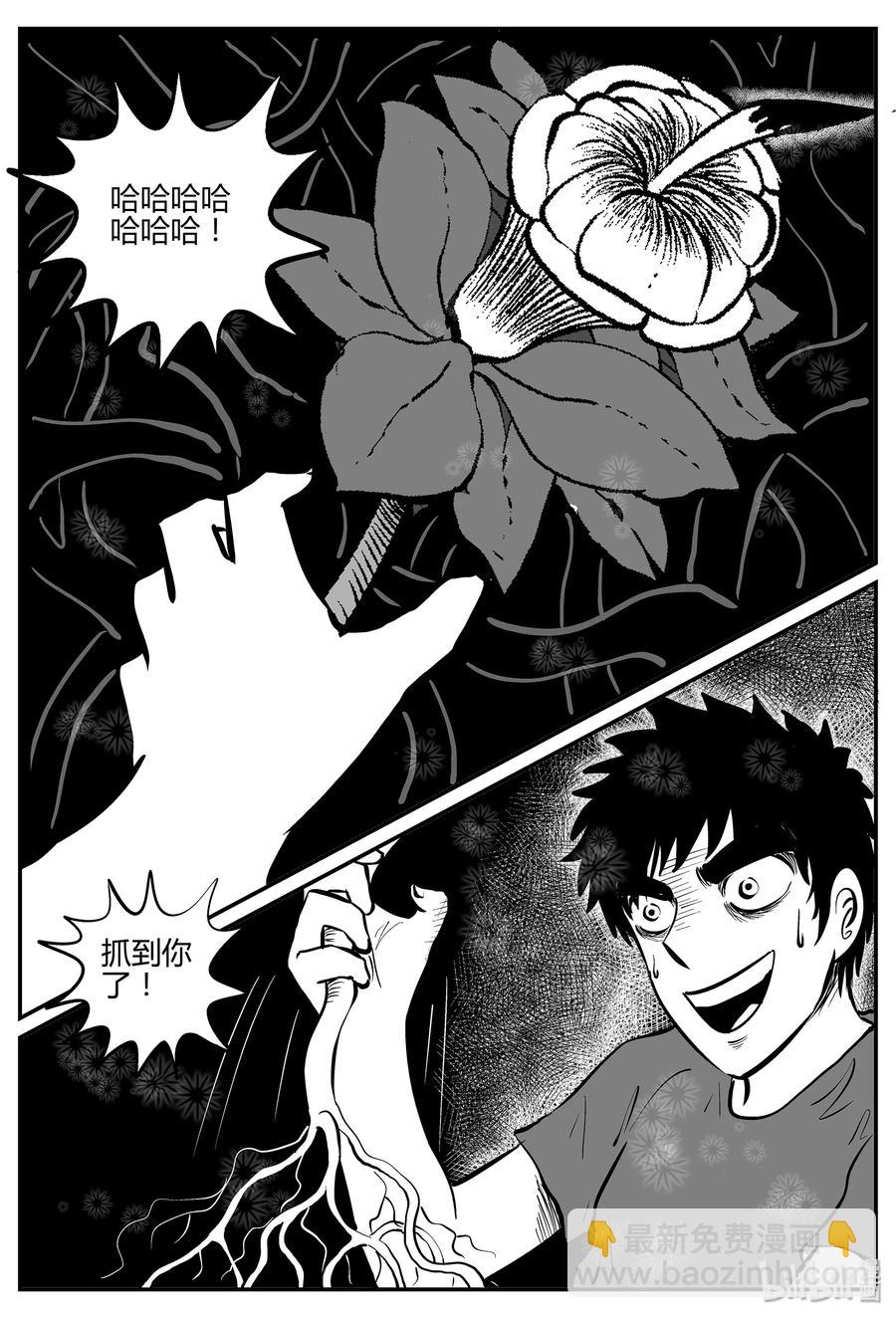 055 它5（12）-第49话