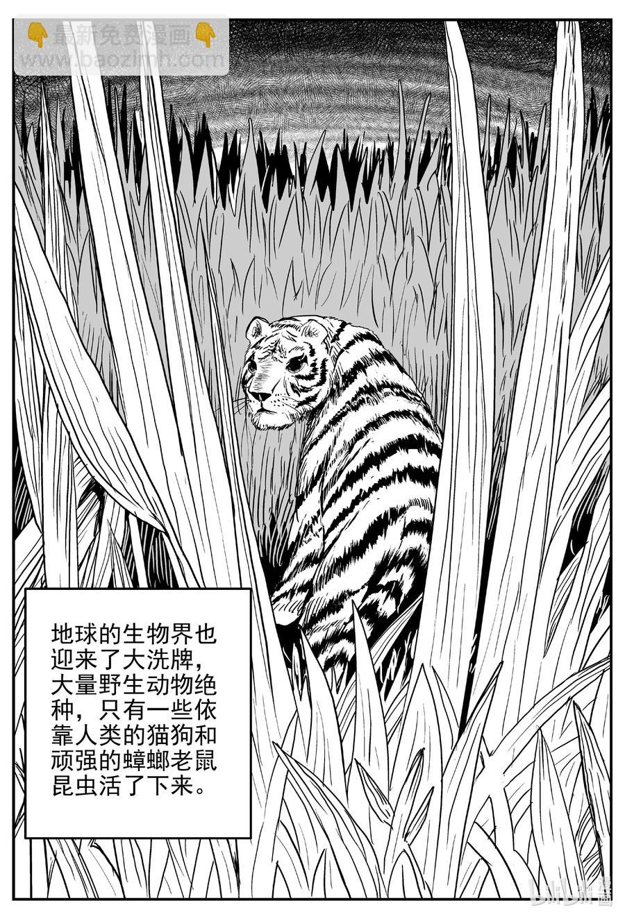 611 22世纪杀人网络-第605话