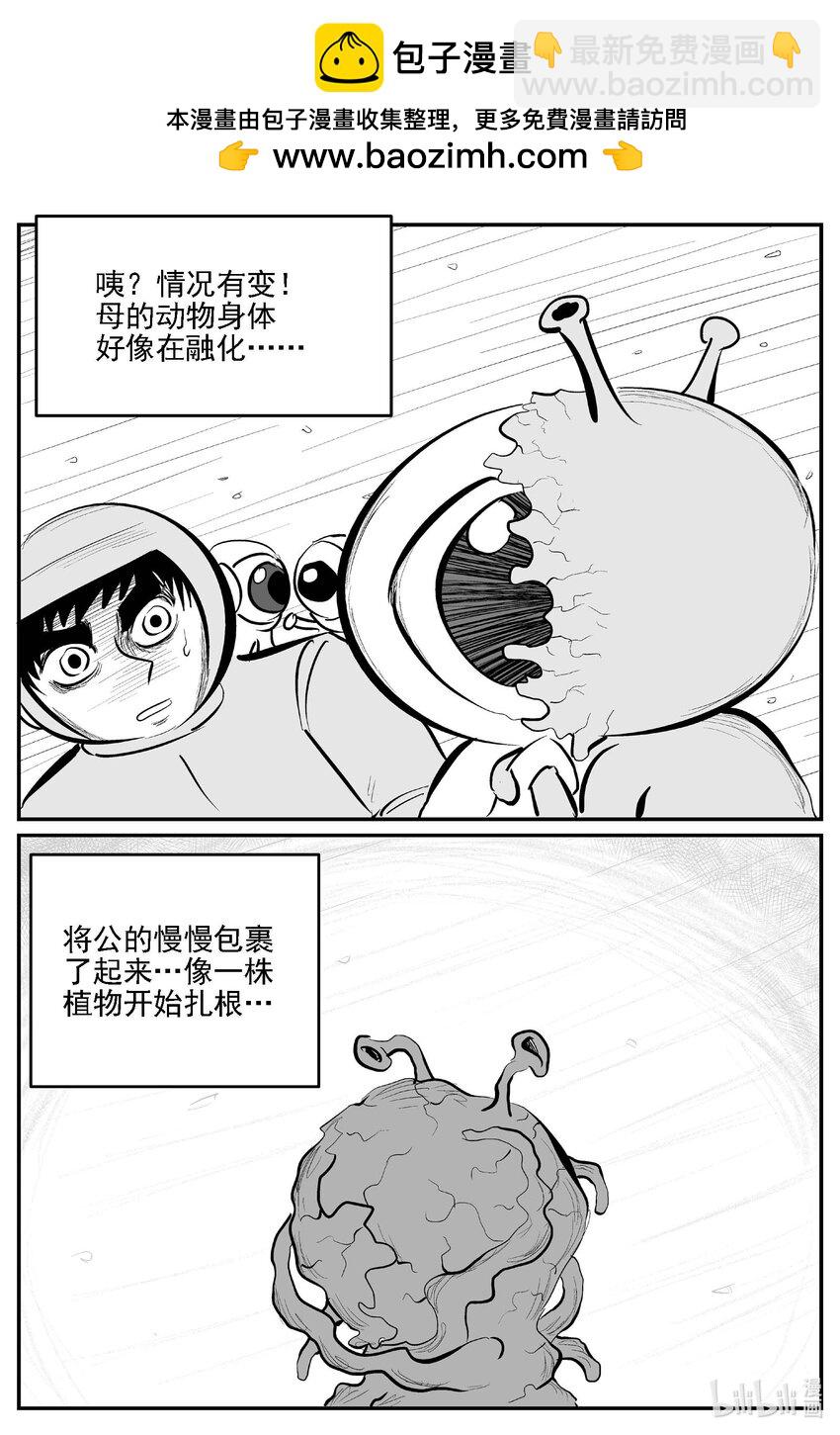 981 爱之星-第969话