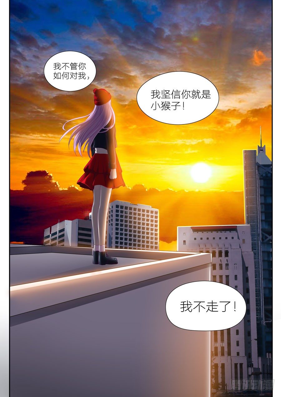 第二十八话：不离不弃！-第29话