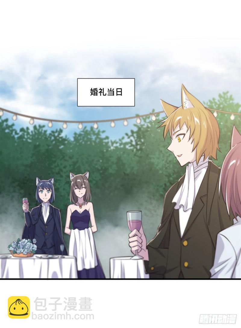 193 计划的婚礼-第195话