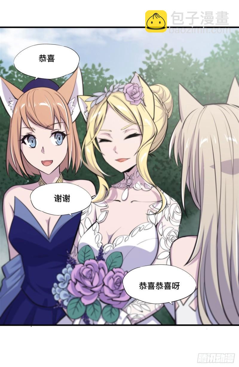 193 计划的婚礼-第195话