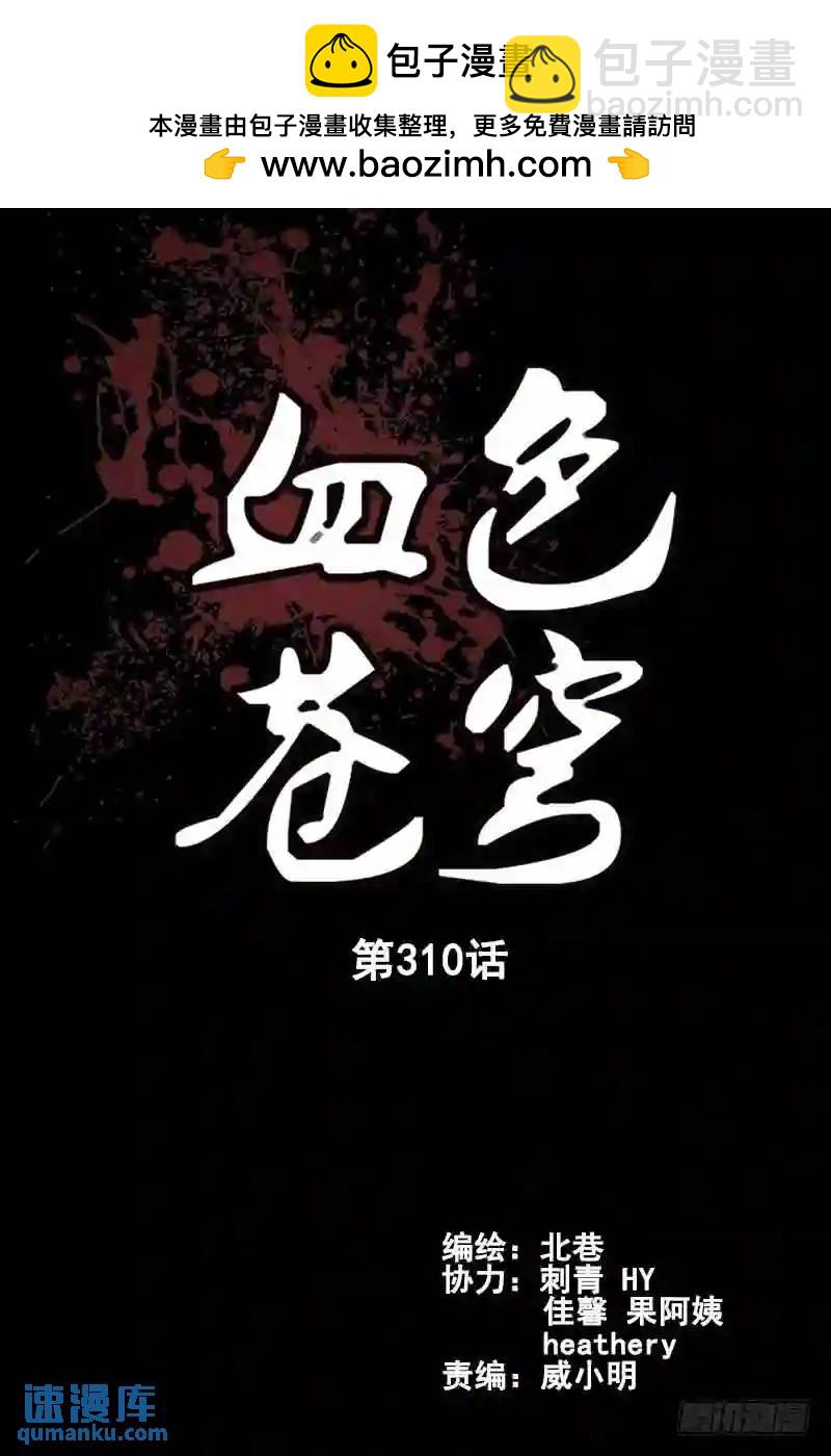 🍚血色苍穹 310.援兵 第2页