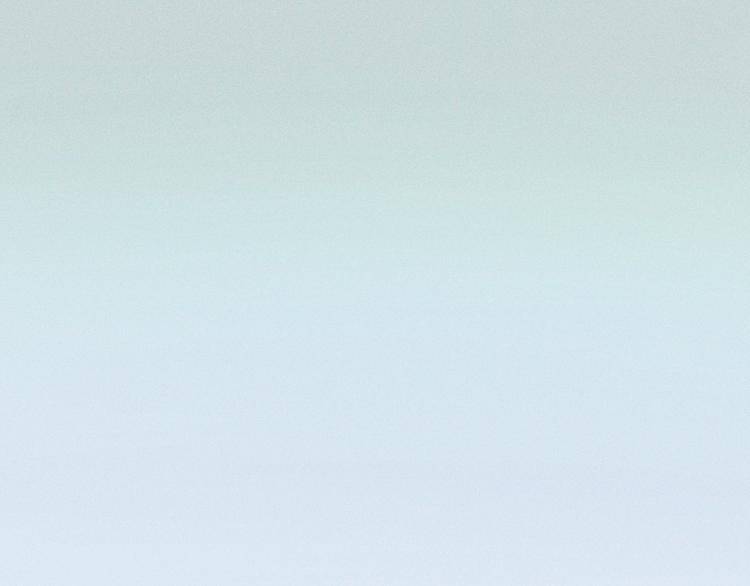 第14话 招财猫(1/2)-第15话
