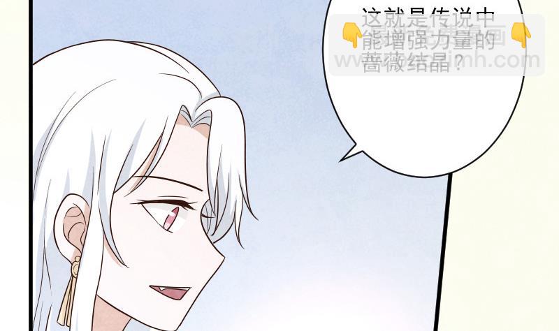 第207话 现在我只能相信你(1/2)-第207话