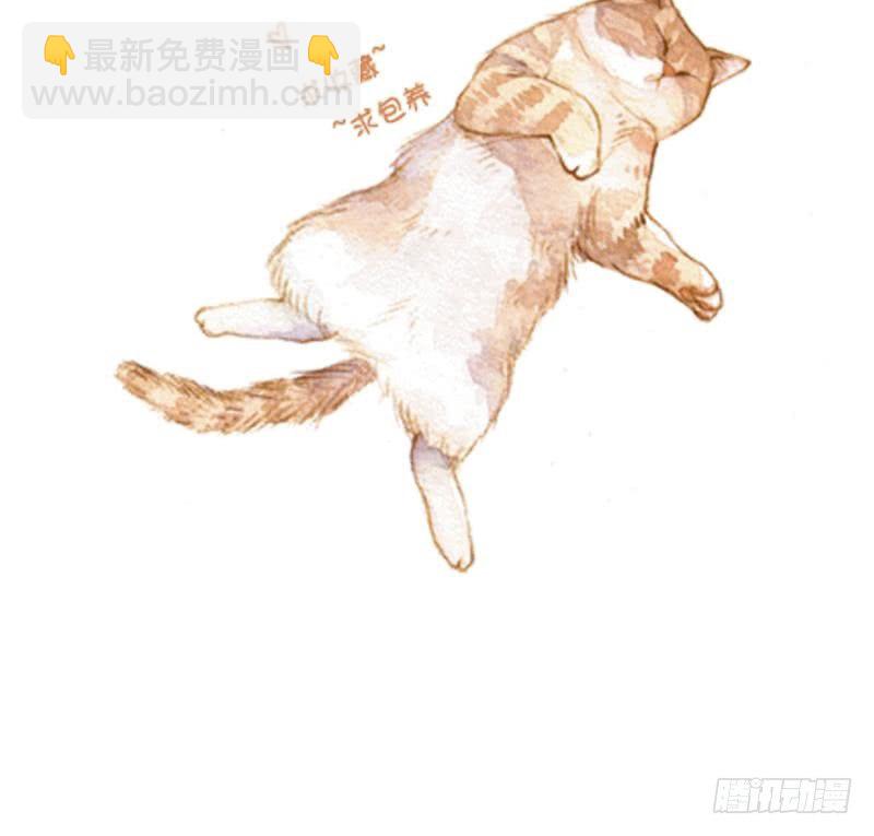第11话 治疗-第11话