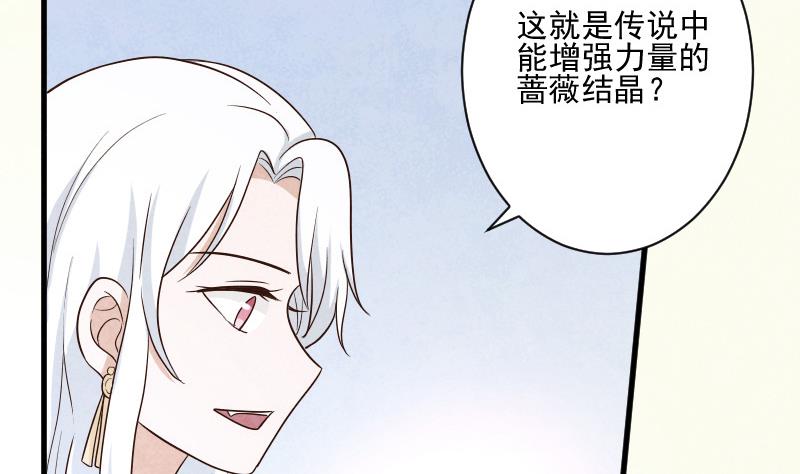 第207话 现在我只能相信你(1/2)-第207话