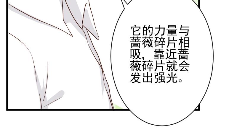 第83话 把蔷薇碎片带回来(1/2)-第83话