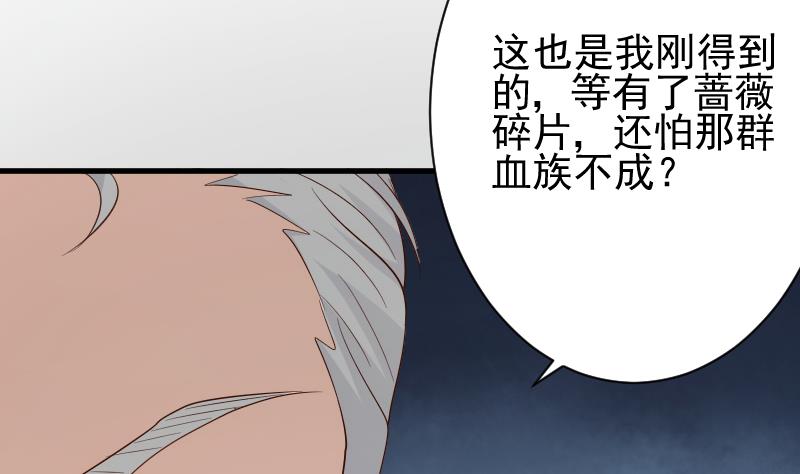第83话 把蔷薇碎片带回来(1/2)-第83话