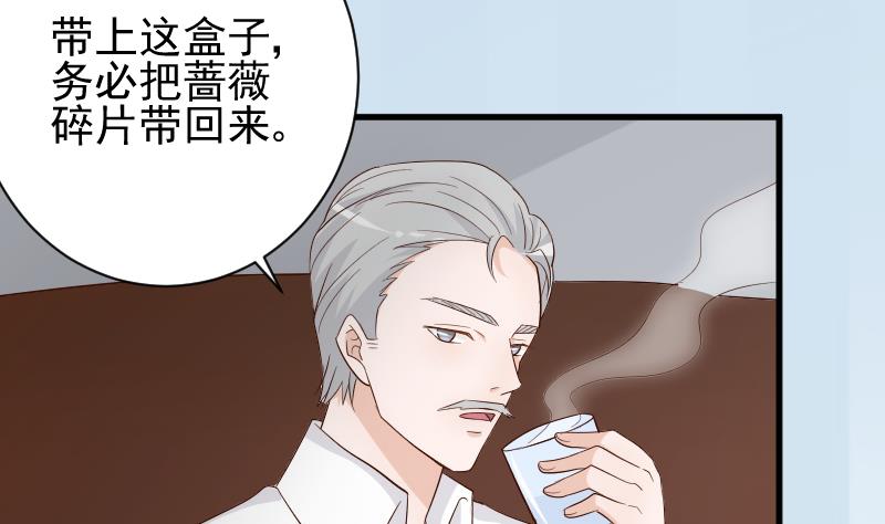 第83话 把蔷薇碎片带回来(1/2)-第83话