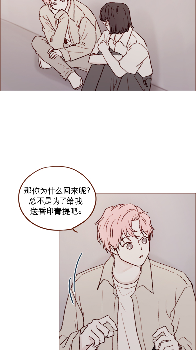 🍚喜欢我的小柿子 [第152话] 以后我只会看向未来 第24页