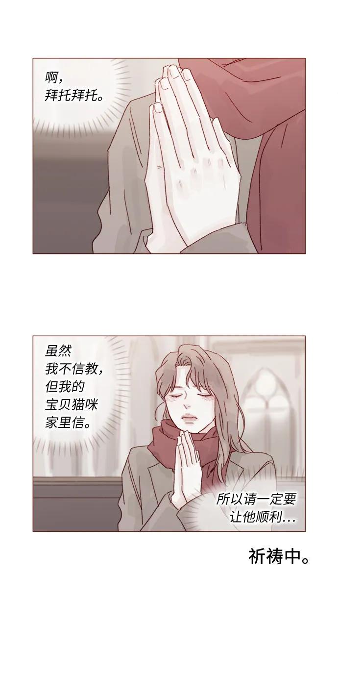 🍚喜欢我的小柿子 [第330话] 我帮到牵牛了吗？ 第25页