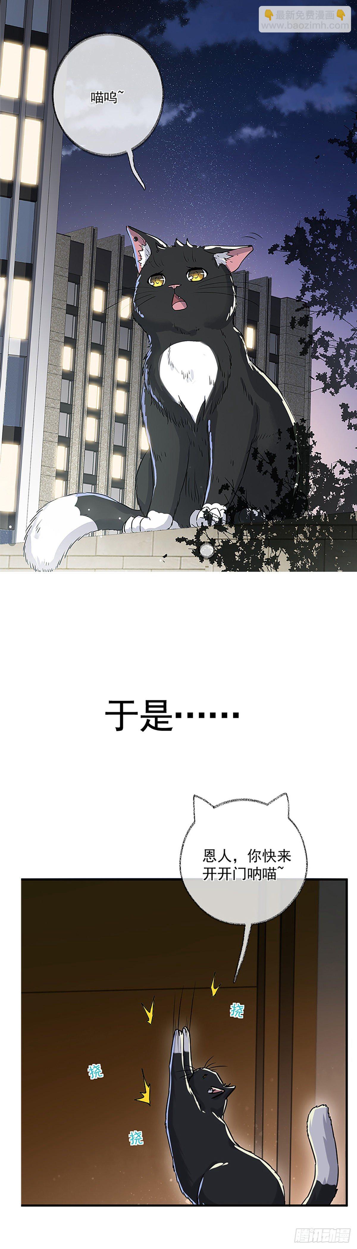 预告-第1话
