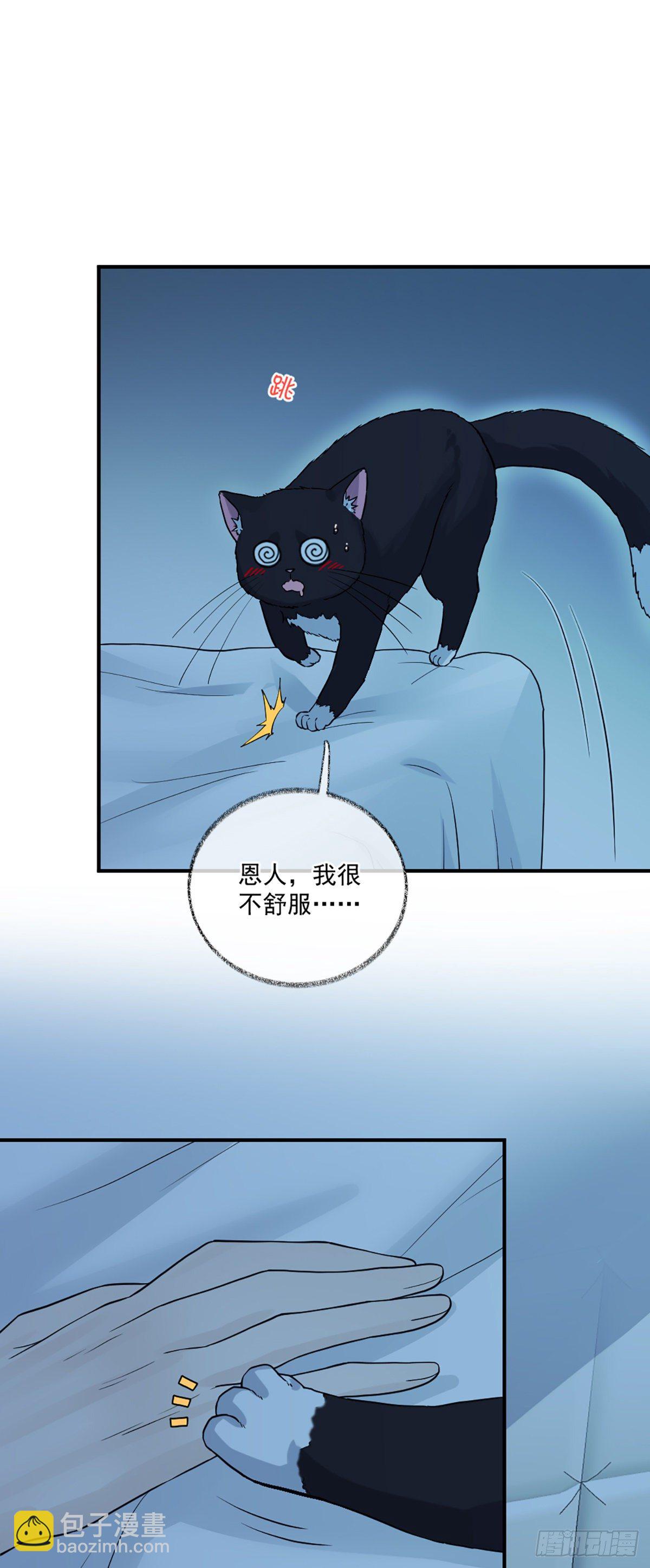 再次相见喵~-第11话